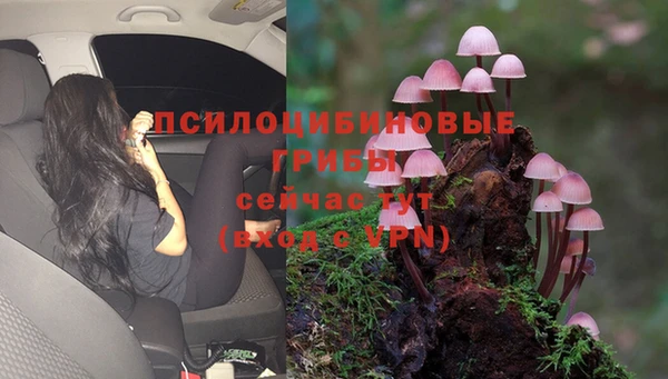 PSILOCYBIN Беломорск